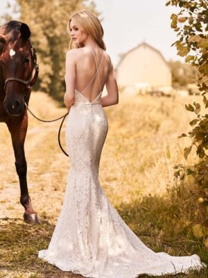 2286b-500x755 2286b-500x755